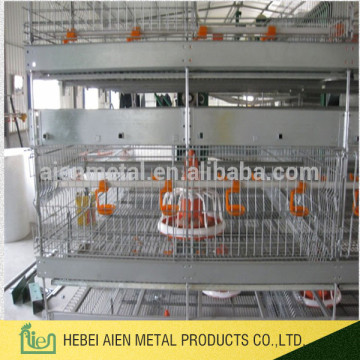 export Philippines poultry broiler chicken farm cage