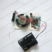 Motion Sensor Recordable Module Voice Chip