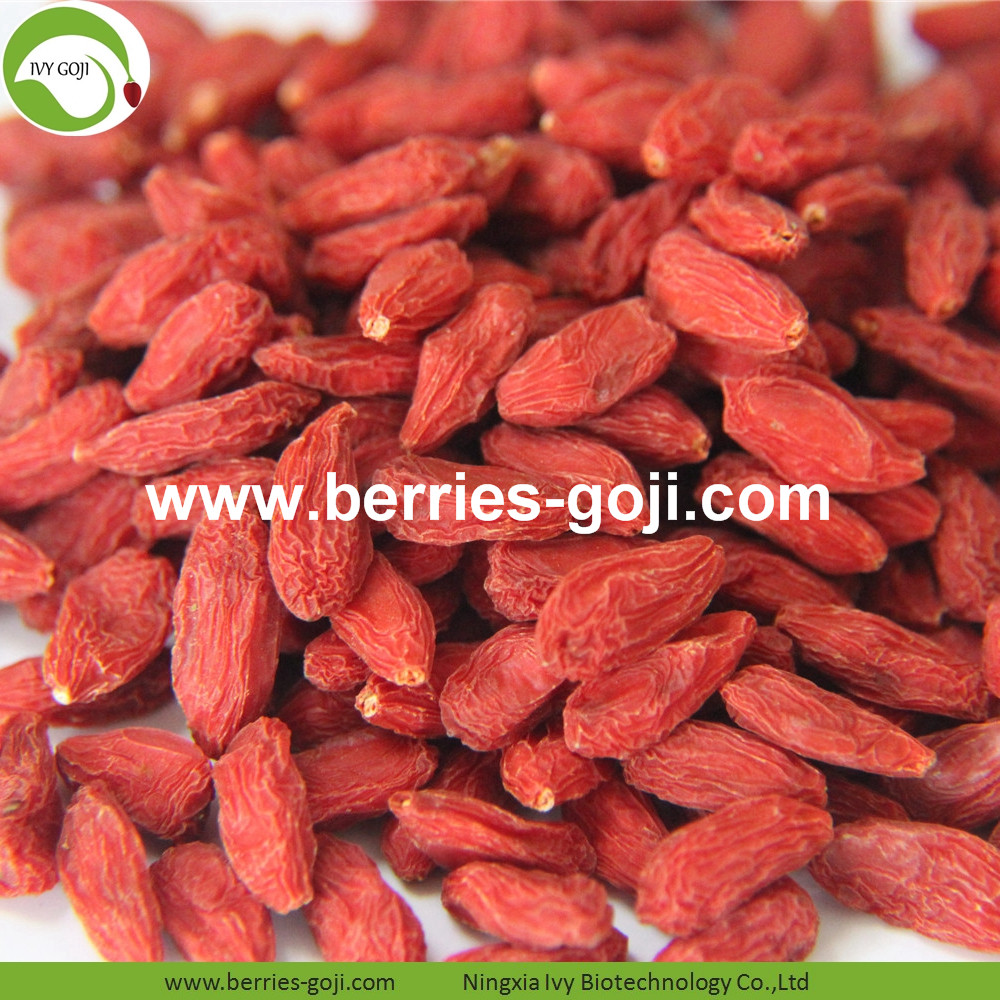 Zhongning Goji Berry