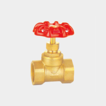 About Brass Globe Valve