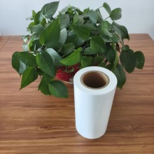 0.5 mm Thick White Rigid PS Roll Film