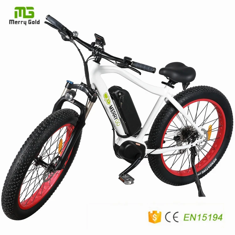 En15194 Approved Middle Drive Motor Electric Bicycle