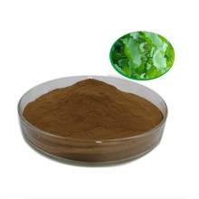 weight loss lotus leaf extract