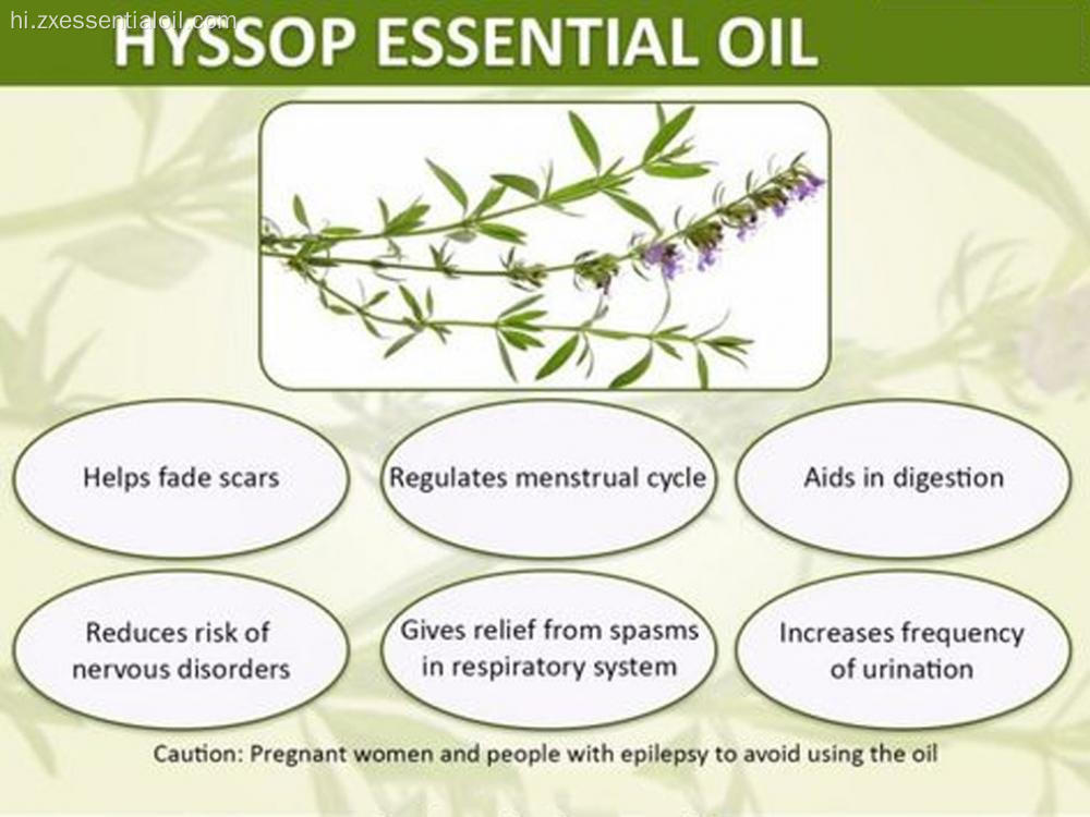 थोक थोक 100% शुद्ध प्राकृतिक Hyssop आवश्यक तेल