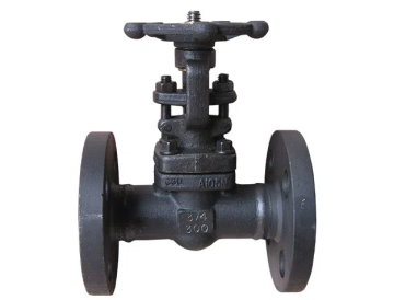 Forged Gate Valve - API 602