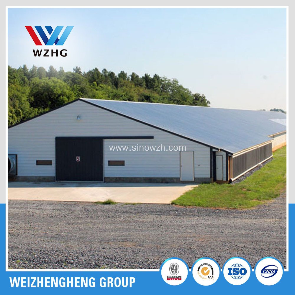 Large span steel structure factory,warehouse