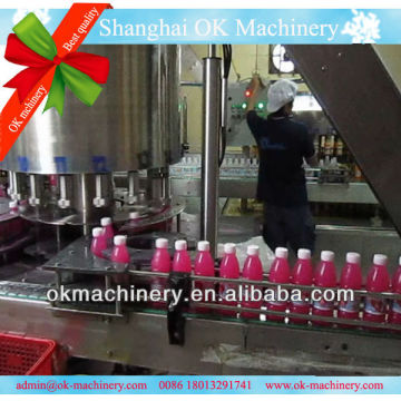 fruit coconut juice filling equipment