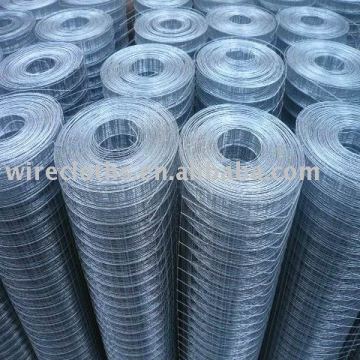 Electric Galvanized Wire Mesh