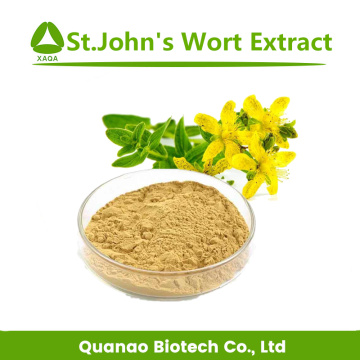 Pure Natural Plant St.John's Wort Extract Powder 10:1