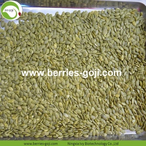 Pasokan Bulk Nutrition Healthy Labu Kernel