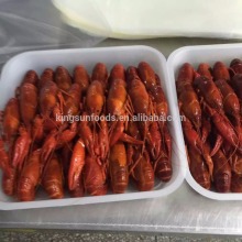 Frozen water cooked crayfish / crawfish