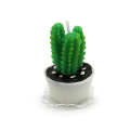 Flikkerende vlam kaars Cactus kaars voor decoratie