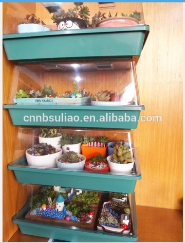 plant tray/plant tray wholesale