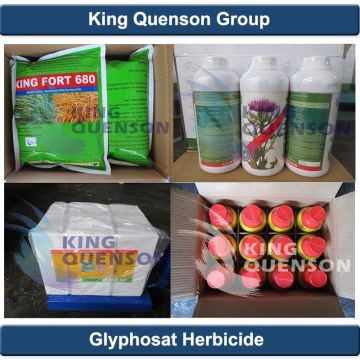 King Quenson Fast Delivery Weedicide Glyphosate 95% Tc Glyphosate 41% SL Herbicide