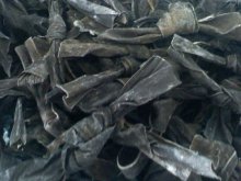 50g special sun dried kelp knot