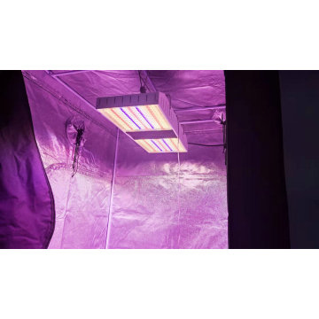 Kvalitet 800W LED vokse lys til indendørs planter