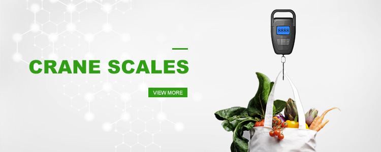 SF-916 electronic mini crane scale 300kg digital luggage portable  hanging scale 100kg electronic hook scale
