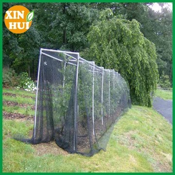 Bird Poultry Netting,Bird Netting ,Mist Net Birds