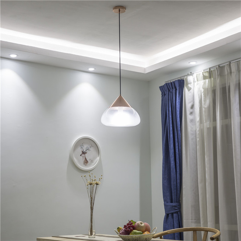 Long Drop Pendant LightsofApplicantion Red Pendant Light