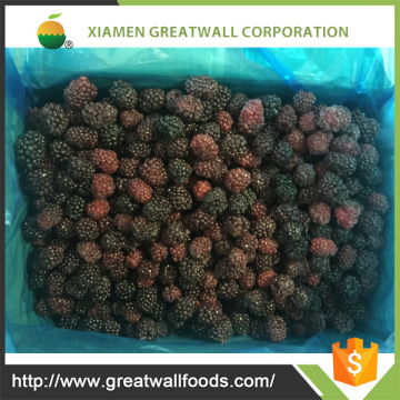 IQF Frozen Blackberry Concentrate Juice Use