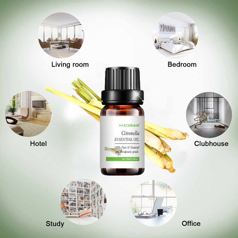 ขายส่ง 100% การดูแลผิวธรรมชาติการนวดน้ำมันหอมระเหย Citronella อินทรีย์สำหรับสปาดูแลร่างกายผิว