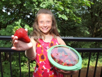 innovative & portable home plastic vacumm fresh-keeping sealing lids/gifts sealer /hot selling/advatising gifts sealer