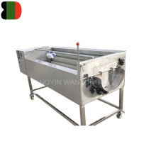 Automatic Vegetable Cleaner Washer for Bean Sprouts, Sweet Potato, Date, Mango, Onion - In Stock