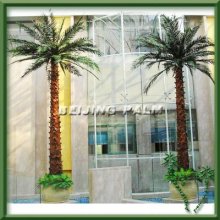 Artificial preserved palm tree