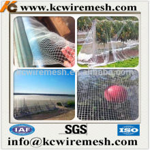 Agriculture Plant Anti Bird Protection PE Knotless Netting