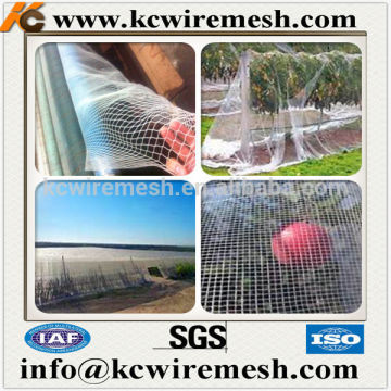 Agriculture Plant Anti Bird Protection PE Knotless Netting