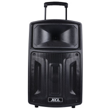 Programmable rechargeable midrange karaoke speaker