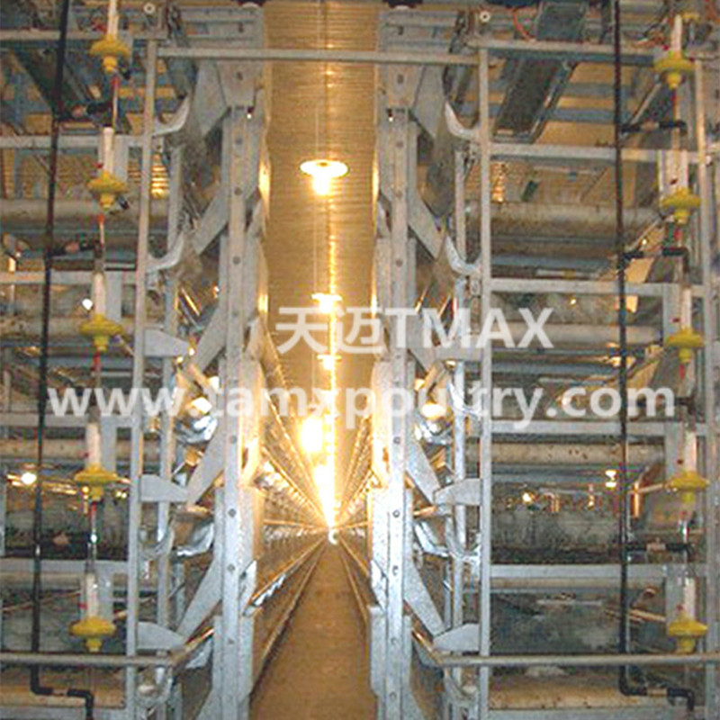 H Type Automatic Layer Cages