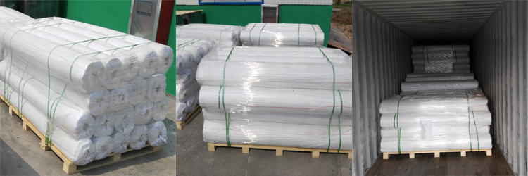 Reinforced TPO waterproof membrane