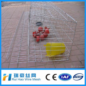 Chicken Cages/2014 hot sale Chicken cage