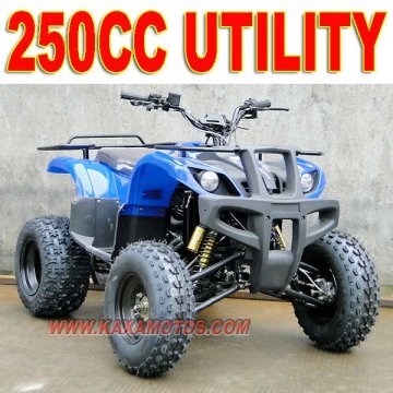 250cc Utility Quad Bike