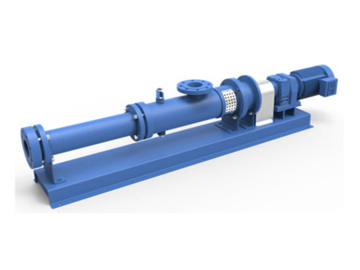 Cavity Pump Cavity Pump