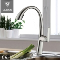 Hot and Cold Pullout Kitchen Sink Fauc Tap