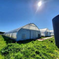 Agricoltura Blackout Light Privation Greenhouse completamente automatizzato