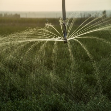 Machine d&#39;irrigation automatique à pivot central pour abreuvoir pour plantes