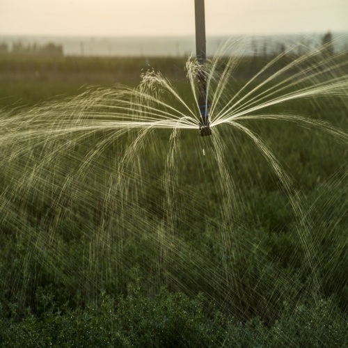 Melhor sistema de irrigação de fazenda de alta eficiência para agricultura