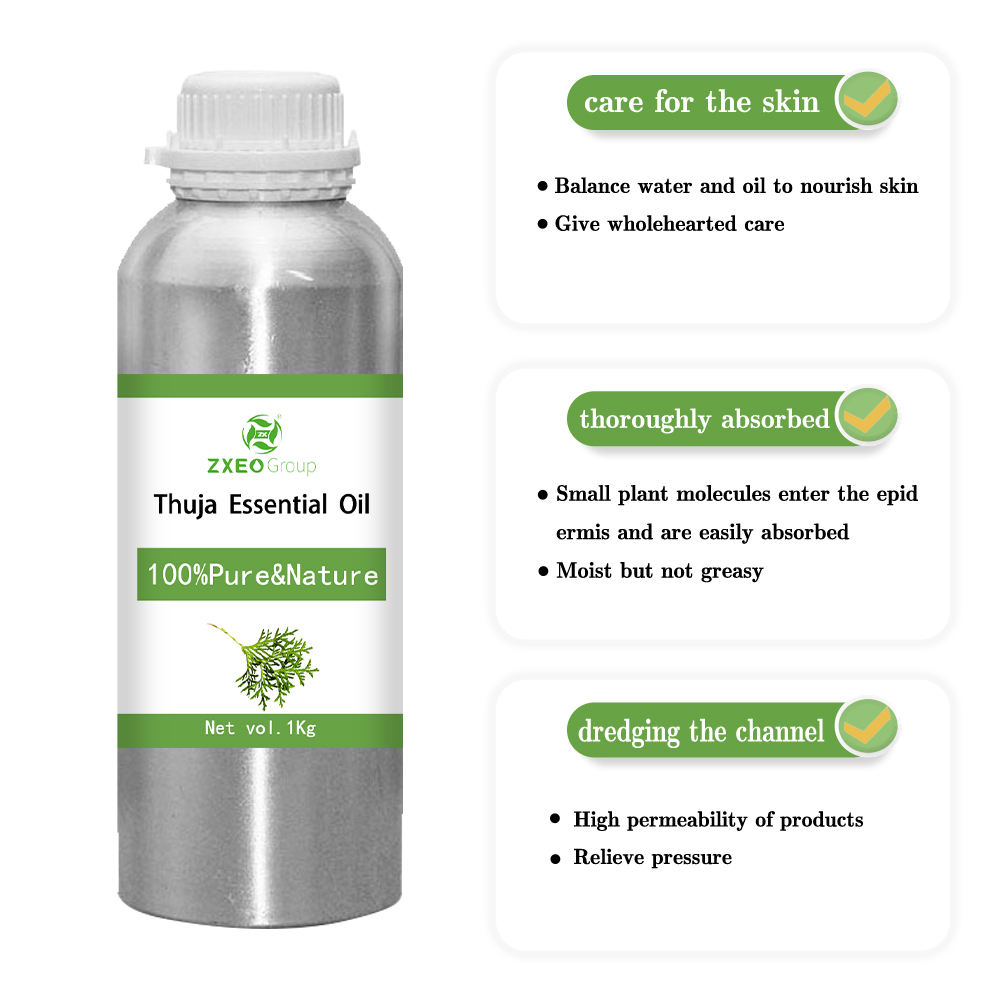 100% puro naturale naturale materia orgica thuja olio essenziale all&#39;ingrosso in massa di alta qualità distillata estrattiva thuja olio ragionevole prezzo