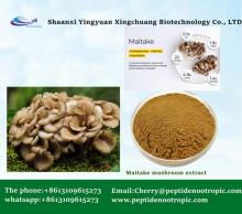 Maitake Mushroom Extract Powder 10:1
