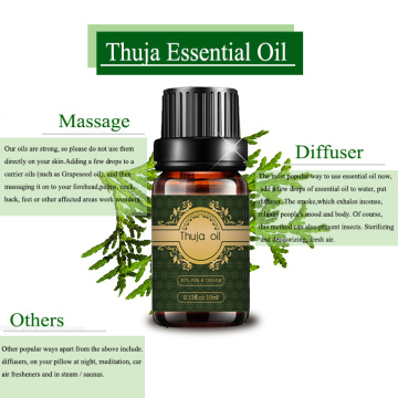 Etiqueta privada Pure Thuja Essential Oil Cuidado de la piel