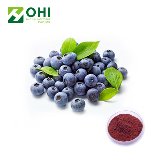 Bilberries extrahera 5% -98% antocyanidiner