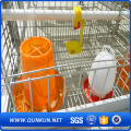 Electra gegalvaniseerde Hoge kwaliteit Layer Cage Wire Mesh