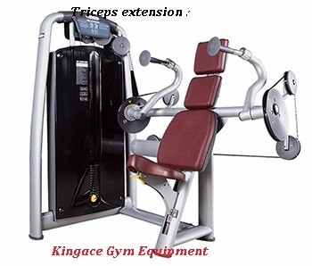 Fitness Equipment/Commercial Gym Equipment/ Triceps Press Machine