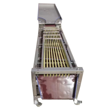 Labor-Saving Stainless Steel Fruit and Vegetable Selection Machine