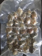 Frozen Boiled Shrot Neck Clam With Shell