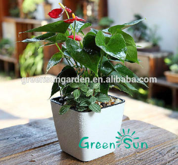 china housewares wholesale interior decorative flowers pots