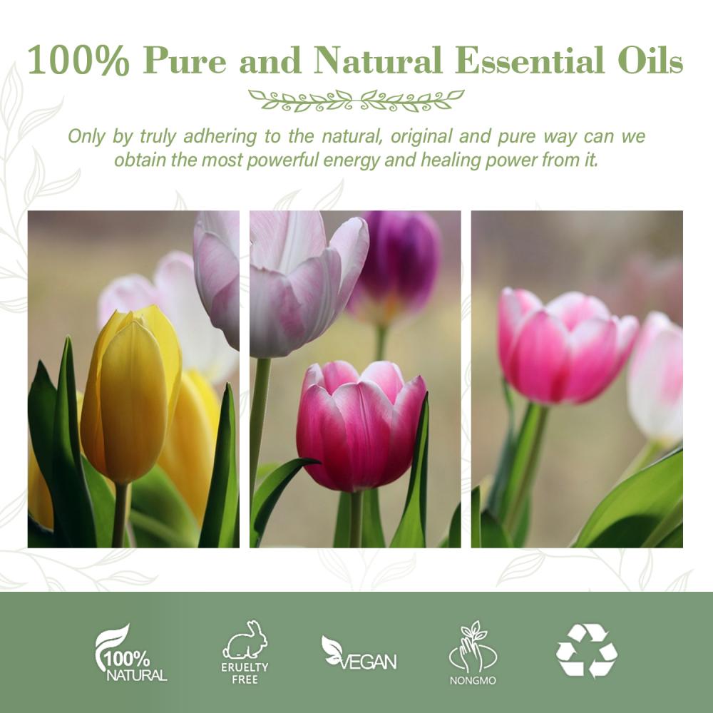 Aceite esencial de tulipán orgánico 100% puro aceite esencial de grado terapéutico